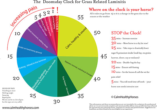 Laminitis Clock