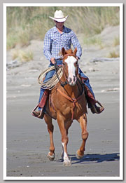 Handsome at the beach