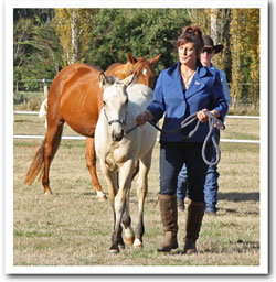 Zephyr at the show