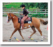 Amigo before changes to his diet