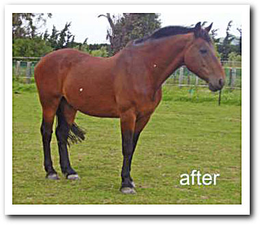 persil grass affected!