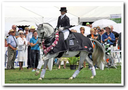 persil grass affected!