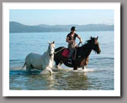 Wizard & Safari - calm in a new situation