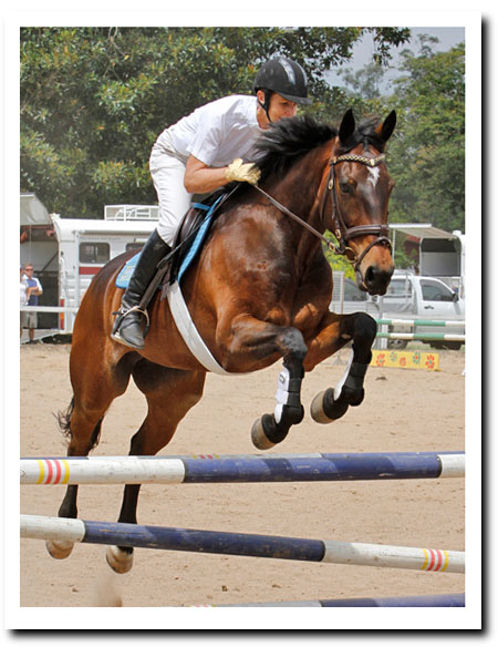 Sshrek and Vicky competing to win after diet changes.